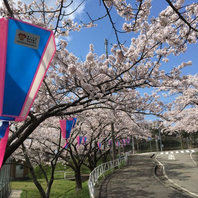 青海総合グラウンド