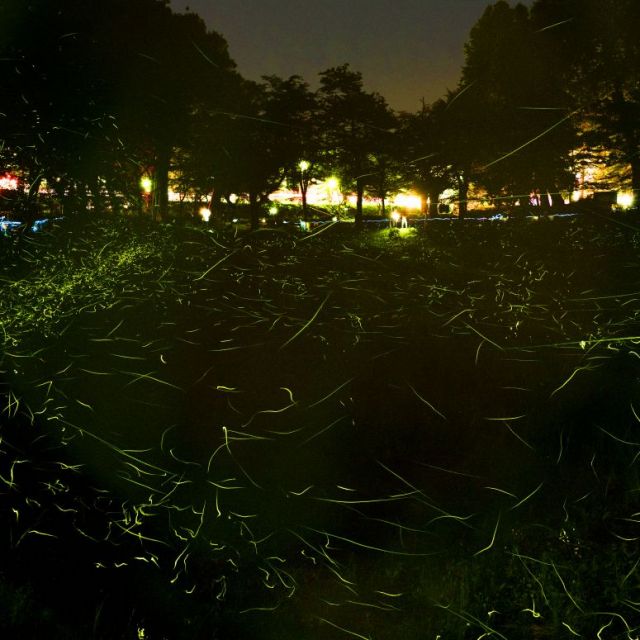 船岡公園