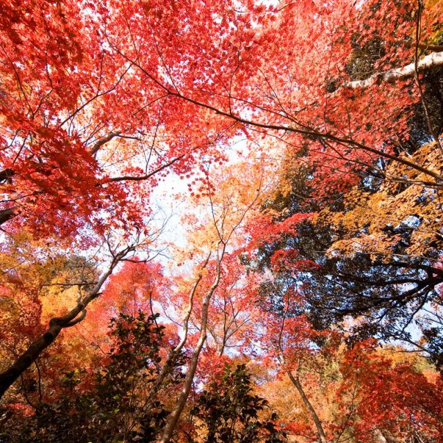 中野邸記念館