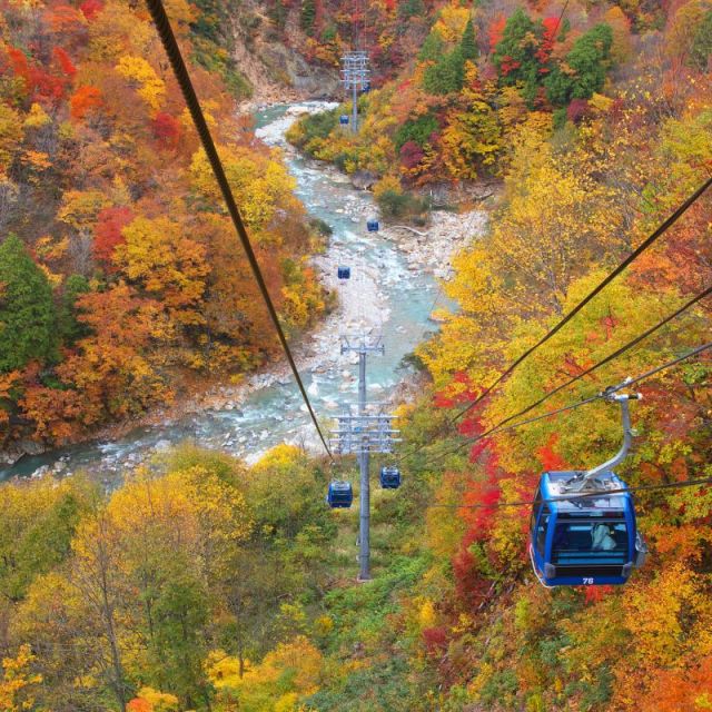 新潟 庄内の紅葉スポット 公式 新潟県のおすすめ観光 旅行情報 にいがた観光ナビ