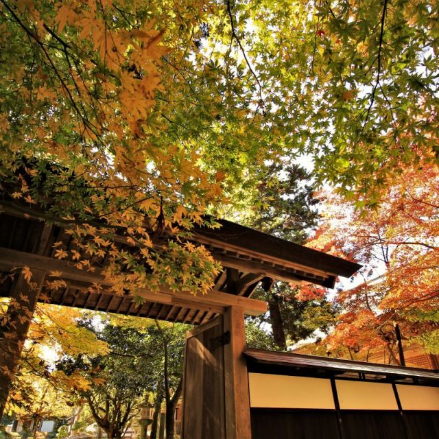 乙宝寺