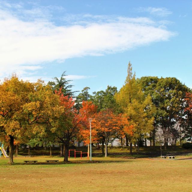 北公園