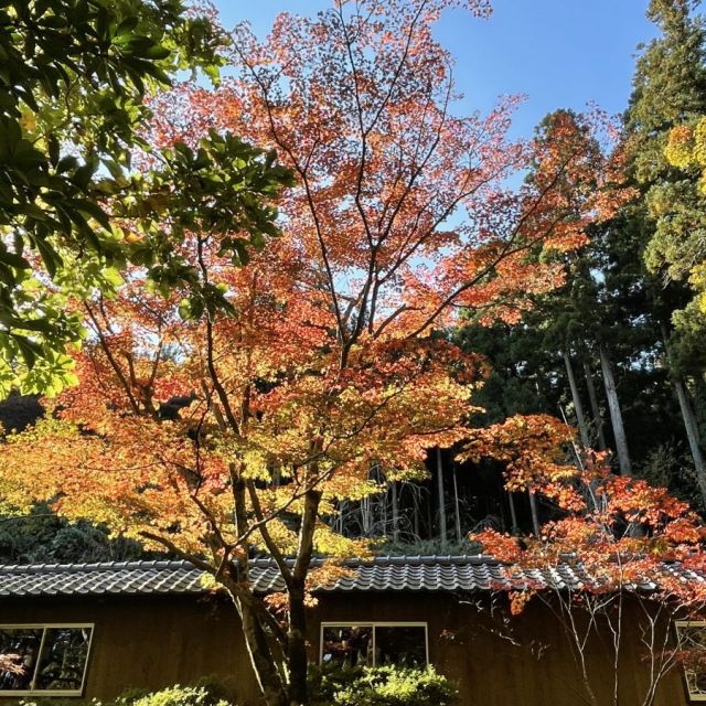 日蓮宗本山村田  法王山 妙法寺