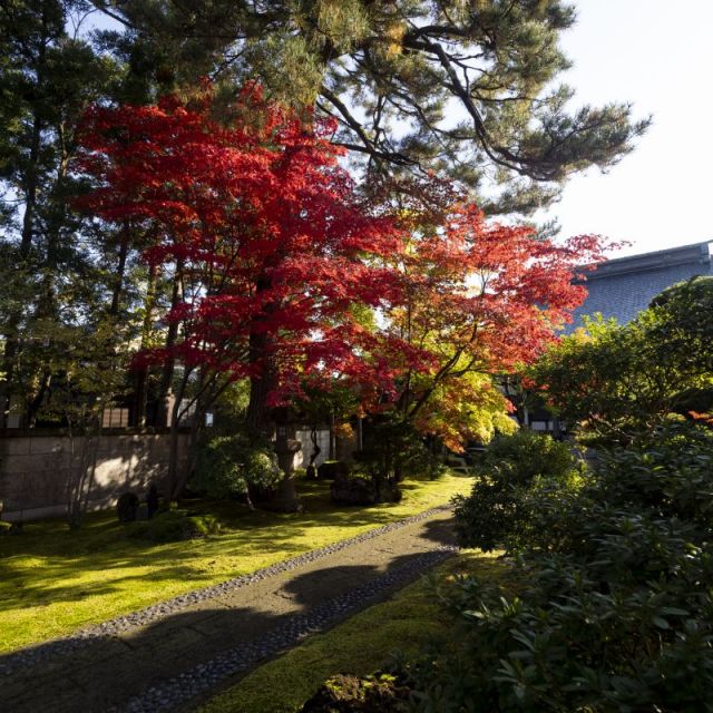 法華宗総本山 本成寺
