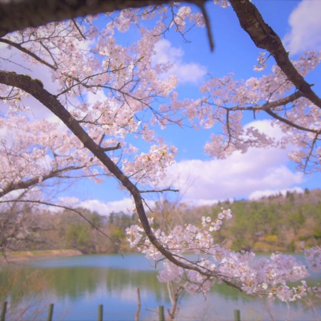 大平森林公園【キャンプ場】