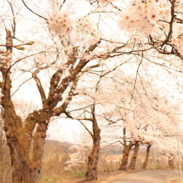 水道山・観音山公園