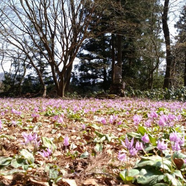湯沢観音公園