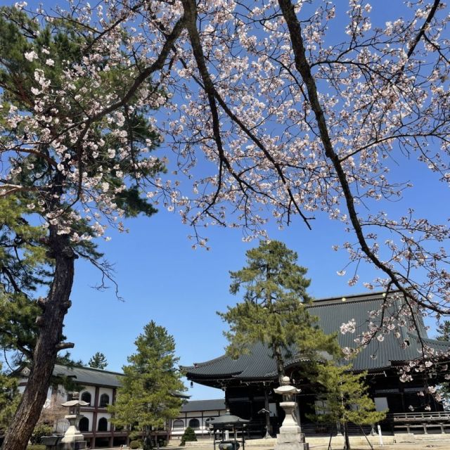 法華宗総本山 本成寺