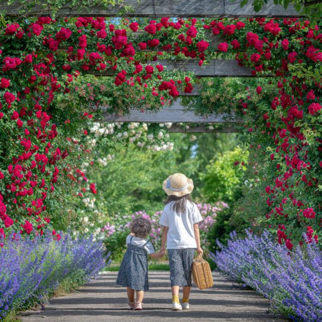 みつけイングリッシュガーデン「フラワーフェスティバル」