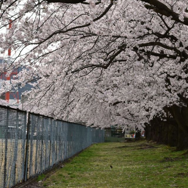 胎内市総合グラウンド陸上競技場