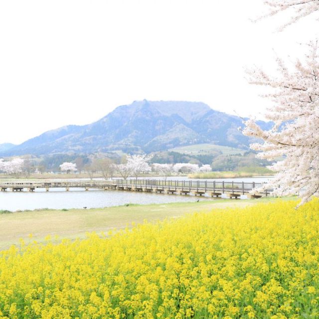 上堰潟公園