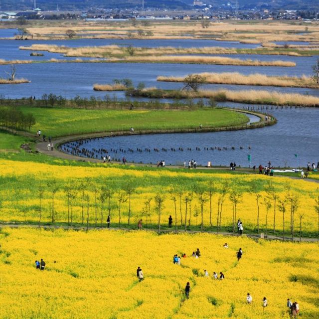 福島潟