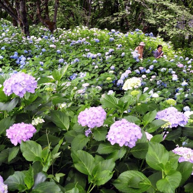 水道山・観音山公園