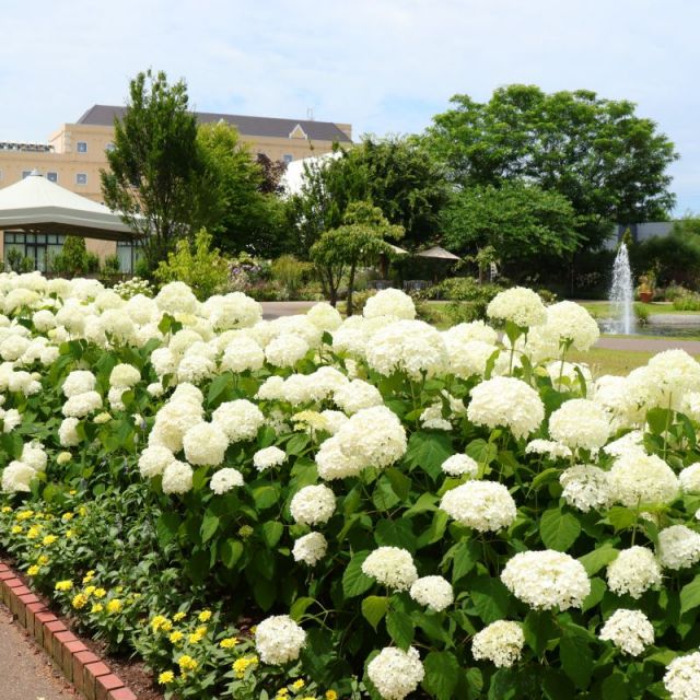みつけイングリッシュガーデン
