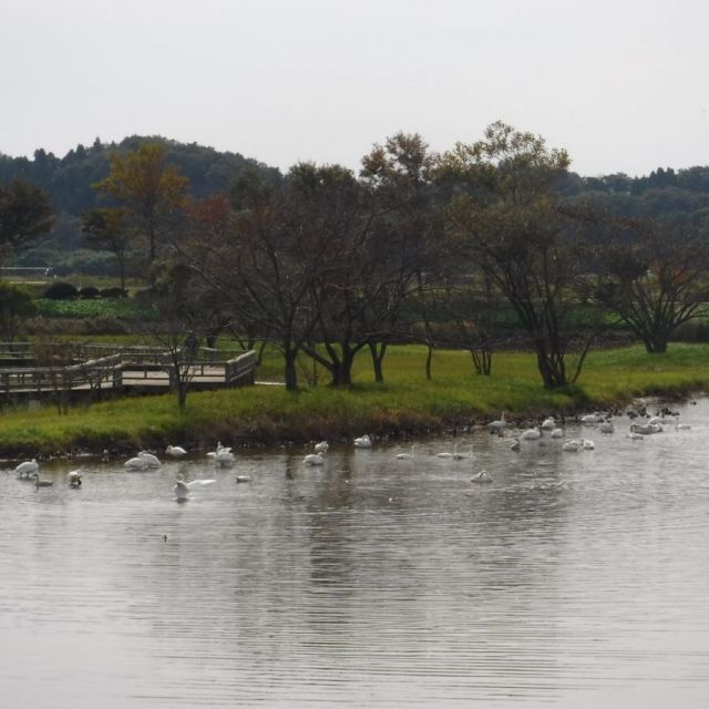 上堰潟公園