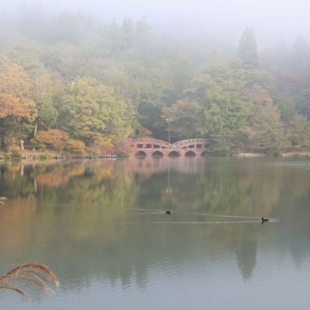 大平森林公園【キャンプ場】