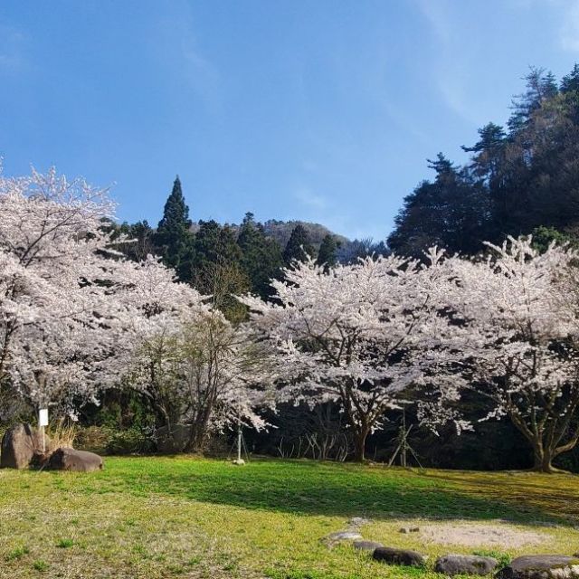 五頭山麓いこいの森