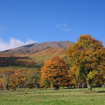 新潟の紅葉スポット 公式 新潟県のおすすめ観光 旅行情報 にいがた観光ナビ