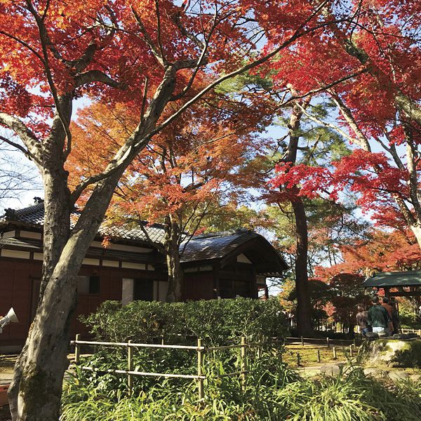 もみじ園