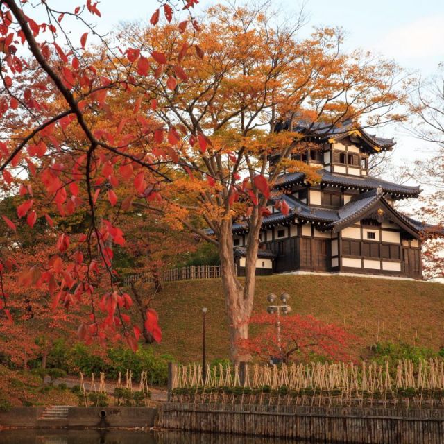 高田城址公園