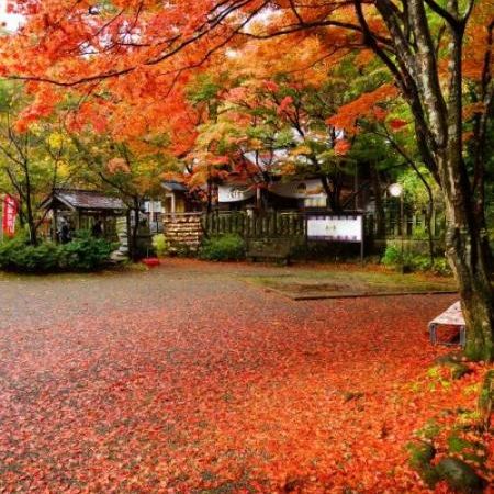 春日山神社