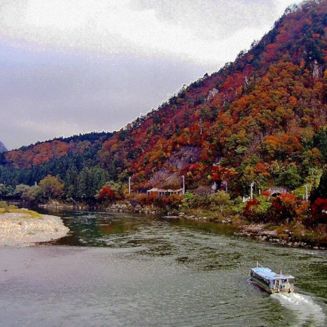 阿賀野川ラインの紅葉