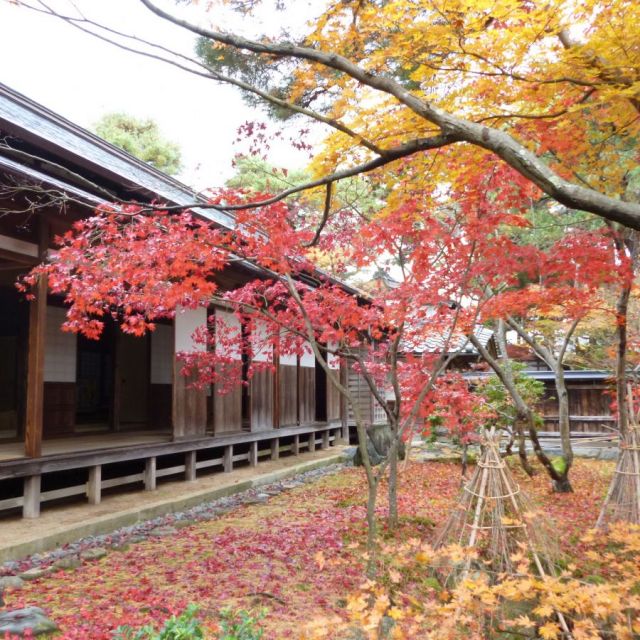 清水園
