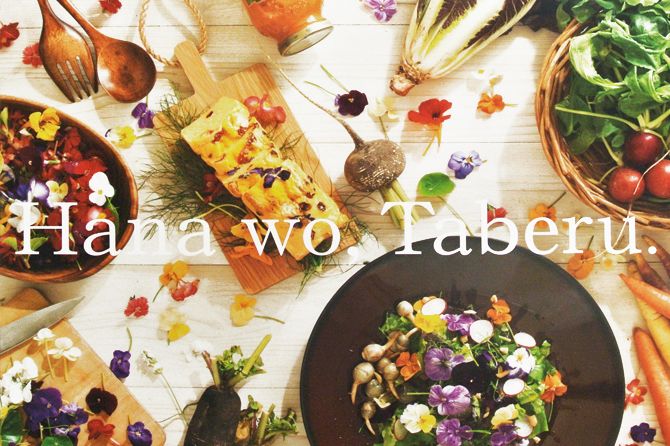 食べる花 エディブルフラワー「脇坂園芸」に行ってみた。／阿賀野市