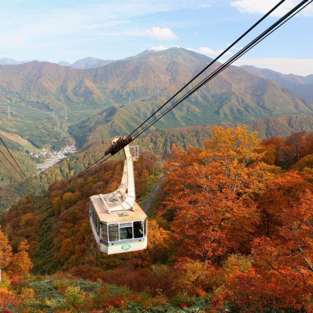 紅葉の絨毯の上を空中散歩