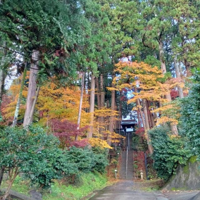 2021年11月16日現在
