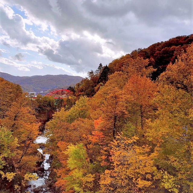 【10/28】　渓谷奥の「浅草山麓エコミュージアム」の園内はカエデ類が鮮やかになり見頃、渓谷沿いの紅葉も色付きが進み見頃です。付近の浅草岳公園は色付き始めです。　　