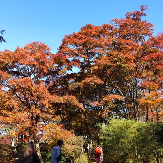 2021年11月7日現在