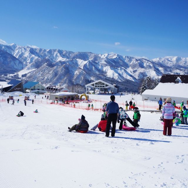 キッズパラダイス