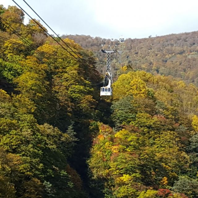 色づき始める山の木々