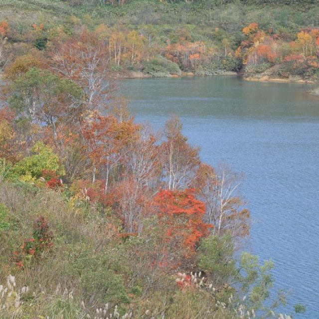 紅葉シーズンの田代湖