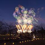 雪あかり・長岡花火「雪花火」