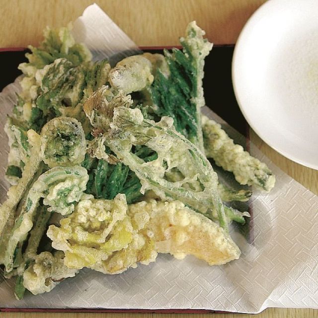 山菜と野菜だけの天ぷら420円