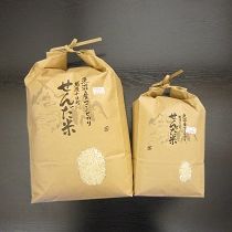 せんだ米