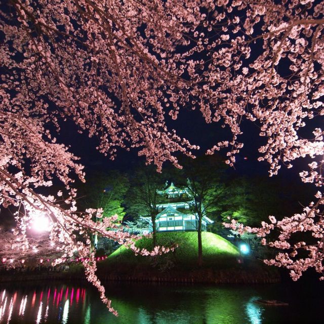 夜のライトアップ