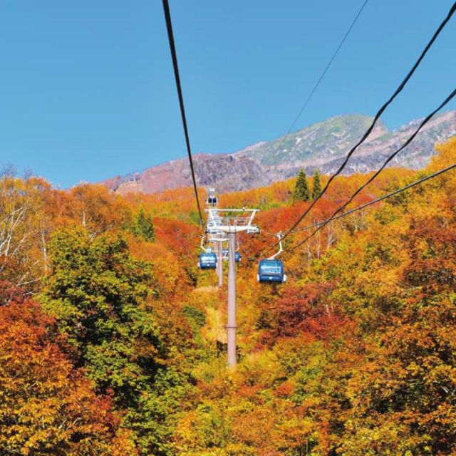 紅葉の中を抜ける約15分の天空遊覧