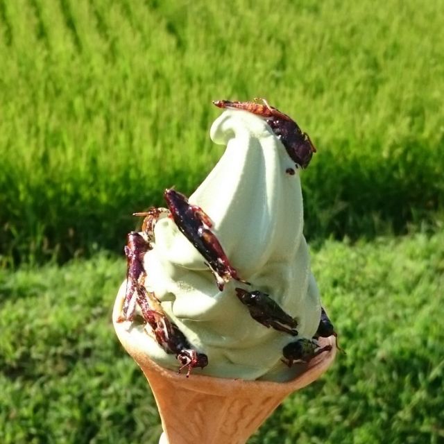 畦道ソフトクリーム