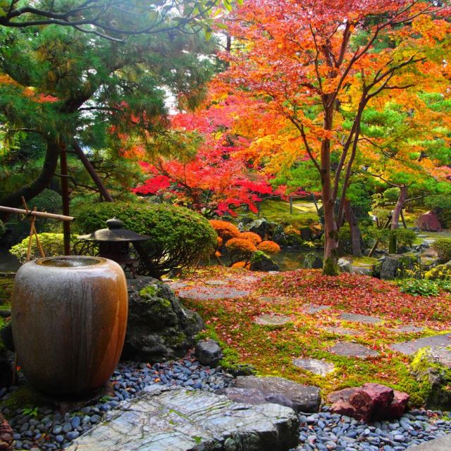 蹲と紅葉