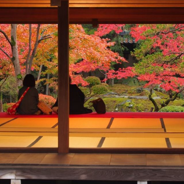 大広間で静かに紅葉を。