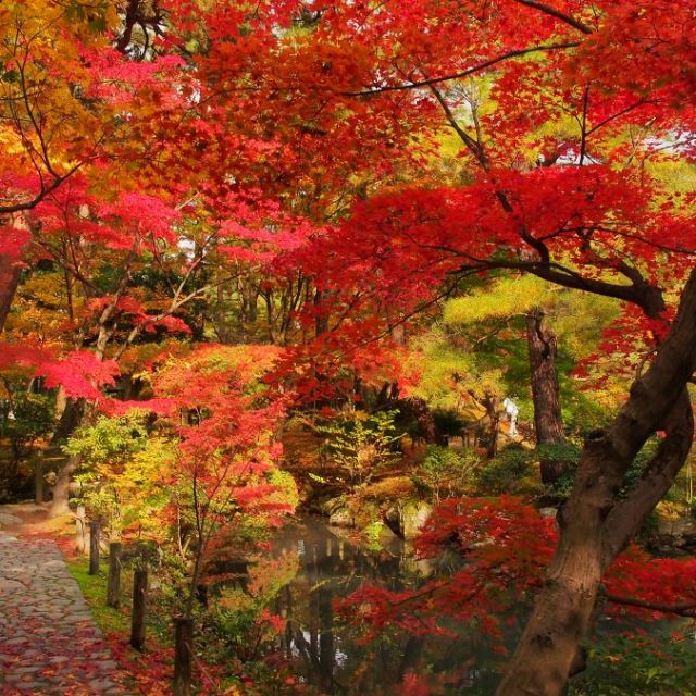 回遊の折々に、紅葉の景色あり。
