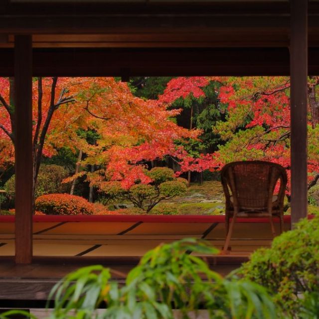 大広間からの紅葉