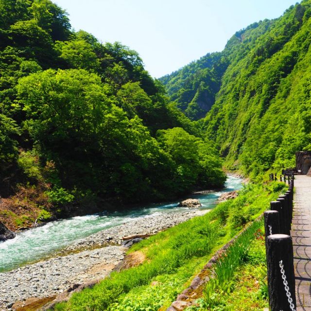 新緑と清津川（5月上旬ごろ～）