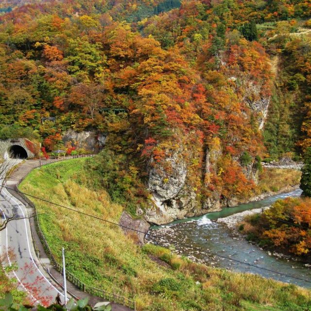 紅葉真っ盛り(例年10月下旬～11月上旬)