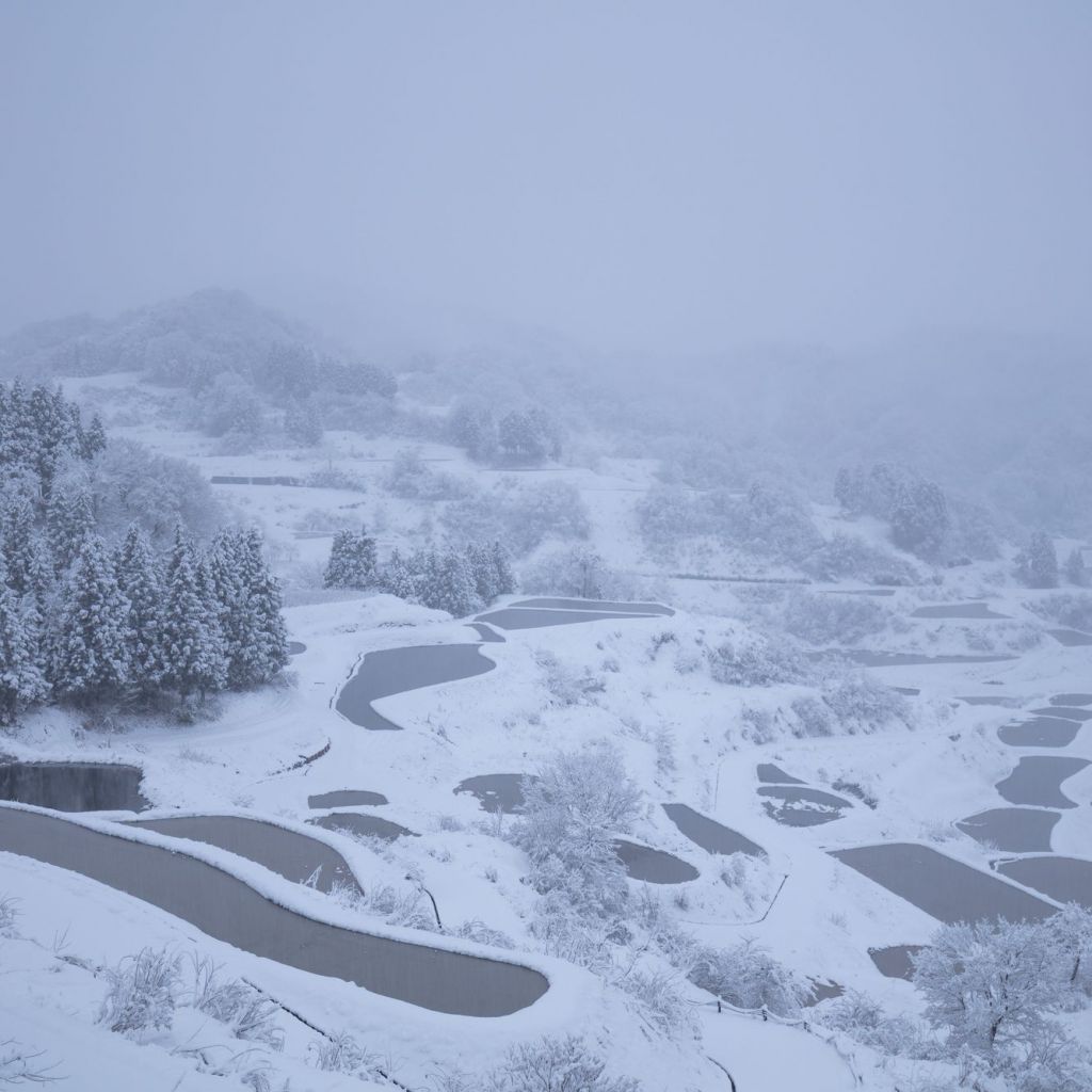 星峠の棚田