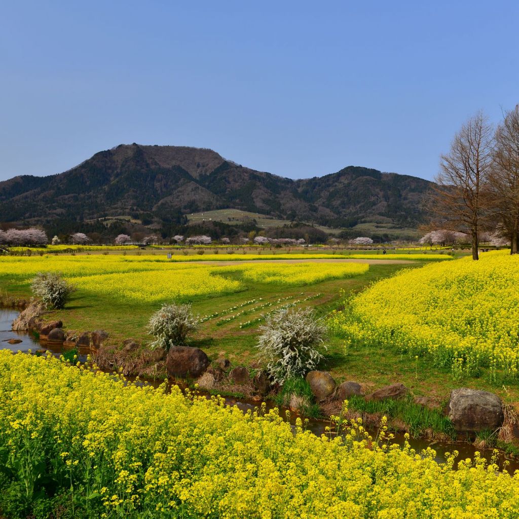 角田山