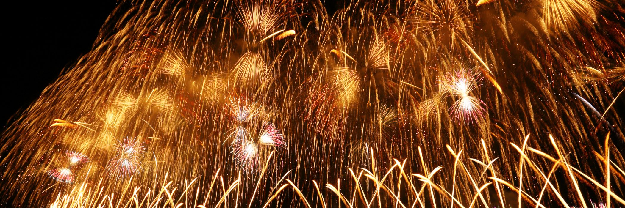 長岡まつり大花火大会／長岡市